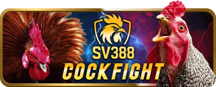 Cấp Độ Bạc